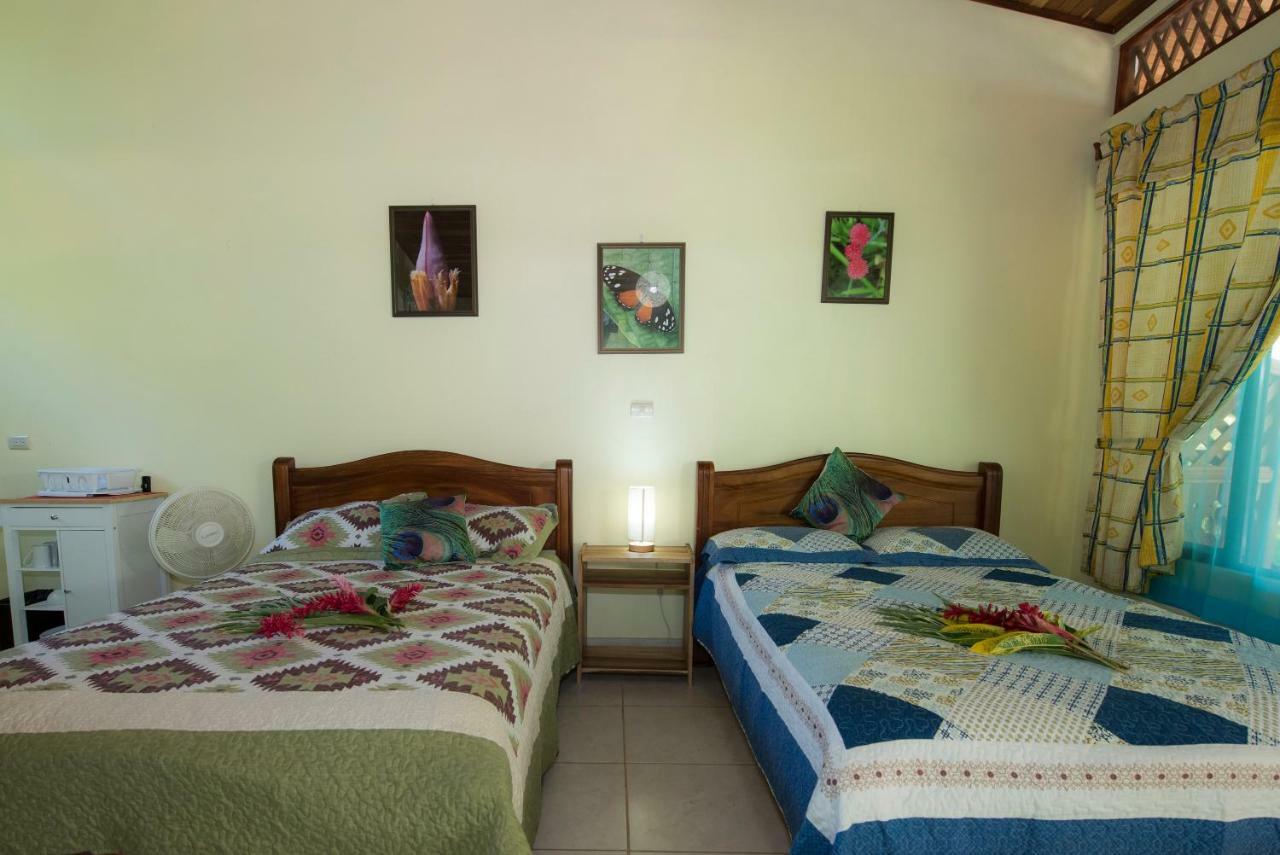 Hotel Sunshine Caribe Puerto Viejo de Talamanca Exterior photo